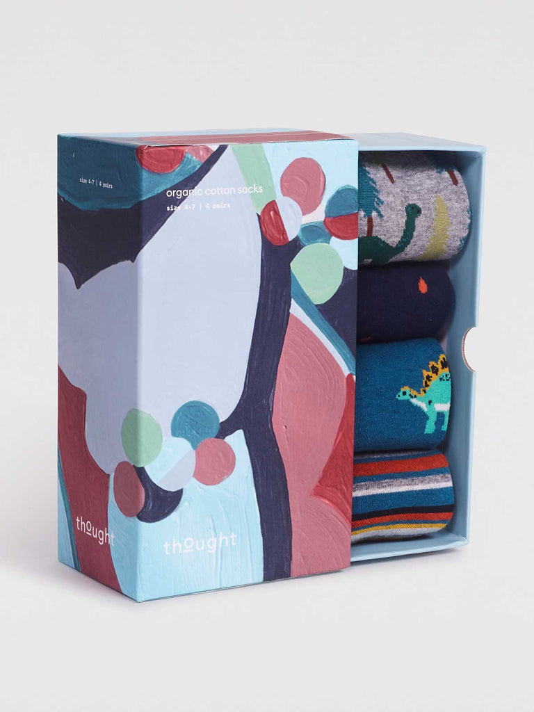 Eull Dinosaur Sock Box - multi