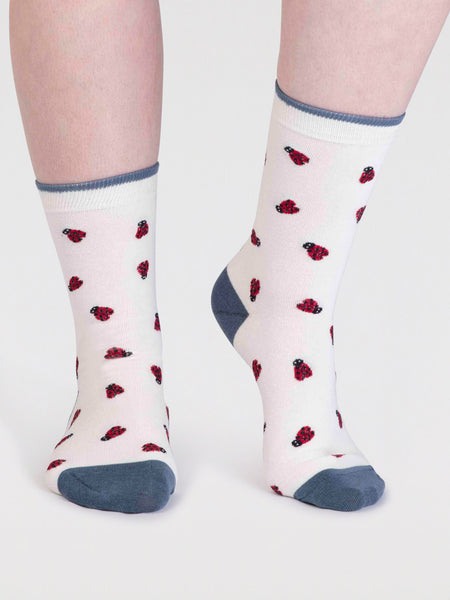 cece organic cotton bug socks – From The Source